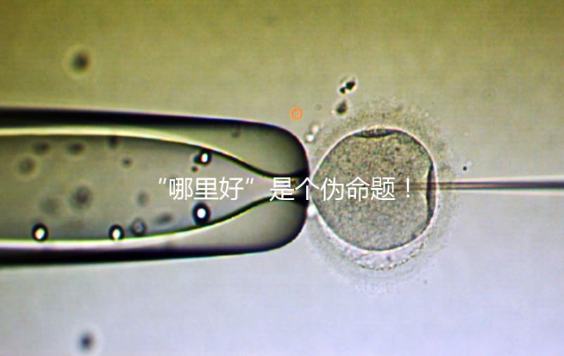 “哪里好”是個偽命題！上海市第十人民醫院做試管經驗分享