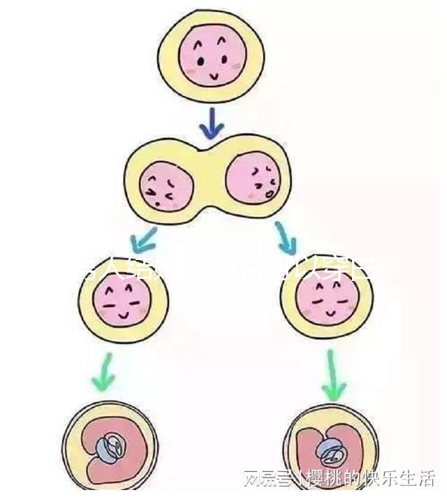 男人結婚時是否可以穿白色鞋子和白色西裝進行分析，看看對誰不利