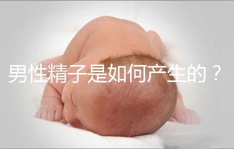 男性精子是如何產生的？