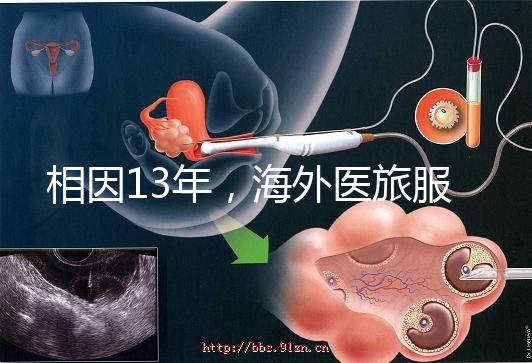 相因13年，海外醫旅服務標準制定者