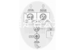 監獄項目是否公開招標(監獄項目是否公開招標文件)