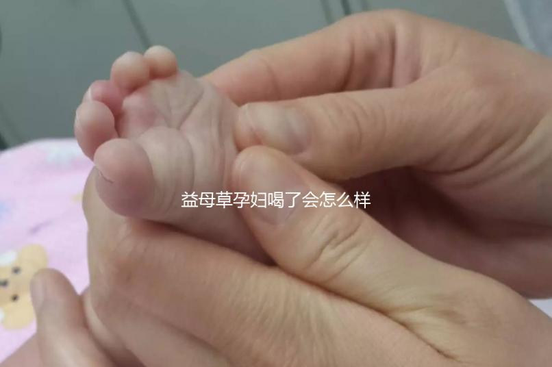 益母草孕婦喝了會怎么樣要早知，會不會流產、怎么辦這都有