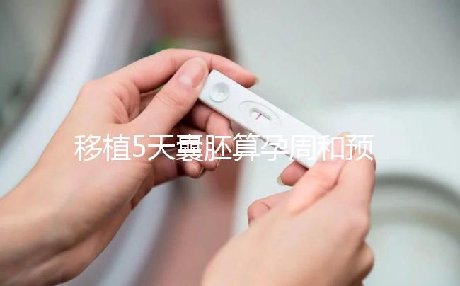 移植5天囊胚算孕周和預產期有訣竅，專家：用這2種方法