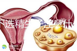 私下選精生子注意什么細節(jié)要早知,選擇正規(guī)機構(gòu)最重要