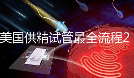 美國供精試管最全流程2024,時間長短關鍵看身體情況