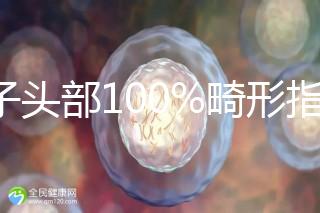 精子頭部100%畸形指數(shù)1.69，試管這條路還能通