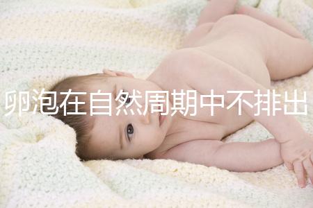 卵泡在自然周期中不排出可以移植快速get嗎？取卵好看嗎？