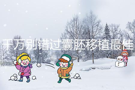 千萬別錯過囊胚移植最佳時間，早上or晚上有講究