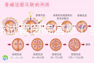 全球試管醫院信息（全球試管醫院排名）