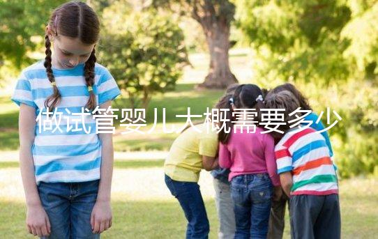 做試管嬰兒大概需要多少錢(現在做試管嬰兒大概需要多少錢)