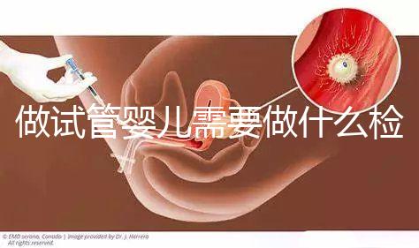 做試管嬰兒需要做什么檢查多少錢(qián)(做試管嬰兒需要做什么檢查多少錢(qián)一次)