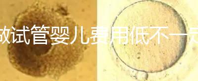 做試管嬰兒費用低不一定好!在江蘇只有29家醫院有資質