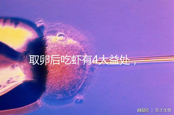 取卵后吃蝦有4大益處，且聽本文娓娓道來！