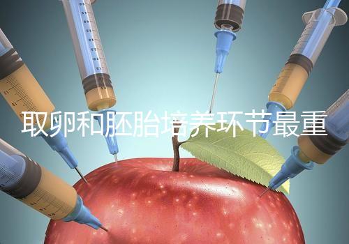 取卵和胚胎培養(yǎng)環(huán)節(jié)最重要？做試管嬰兒的你一定不知道！