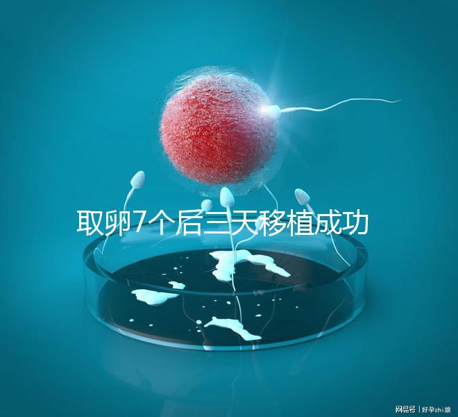 取卵7個(gè)后三天移植成功率真不低，關(guān)鍵要滿足這5大條件
