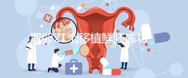取卵21個移植鮮胚成功率真不低,前提:等卵巢恢復后再手術