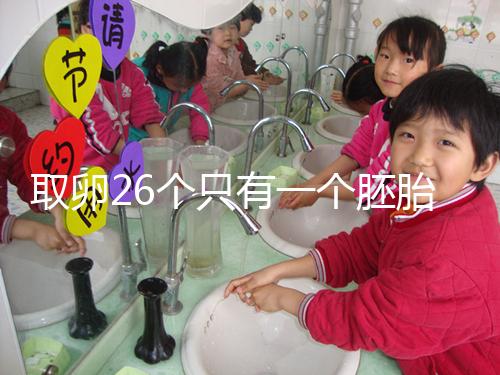 取卵26個只有一個胚胎成功率不低，次月移植凍胚易著床