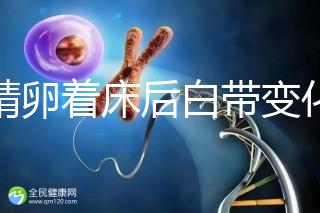 受精卵著床后白帶變化,水樣