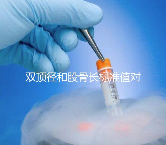 雙頂徑和股骨長標準值對照表，各懷孕周數差異明顯