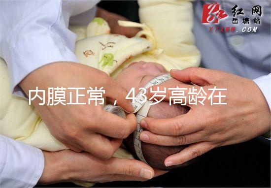 內膜正常，43歲高齡在國內做試管嬰兒成功率多少？