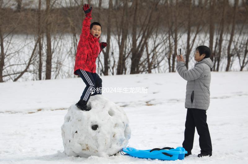 分析2024年生龍鳳胎女性的面部特征,結(jié)合手掌準(zhǔn)確率超過(guò)一半