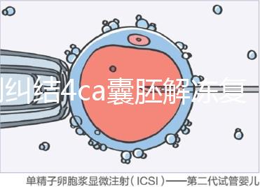 別糾結4ca囊胚解凍復蘇最早幾天能測出了，著床率先了解下