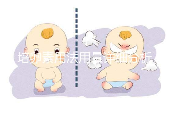 培卵素用法用量詳細分析，不同情況服用時間有差異