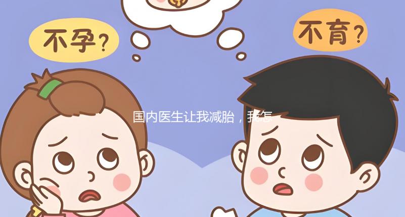 國內(nèi)醫(yī)生讓我減胎，我怎么能一次生兩個孩子呢？