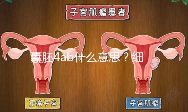 囊胚4ab什么意思？細說移植成功率