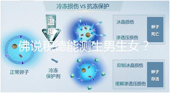佛說(shuō)積德能測(cè)生男生女?60秒說(shuō)清楚胎兒性別是否天注定