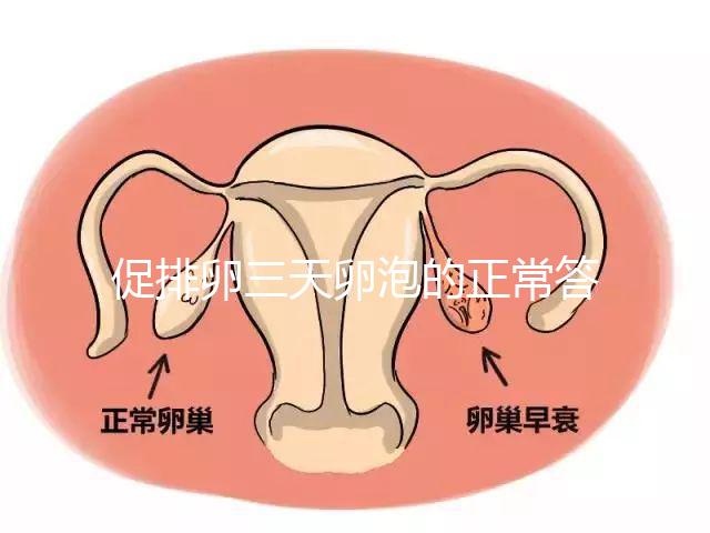 促排卵三天卵泡的正常答案是什么？取出8毫米卵原細胞的時間