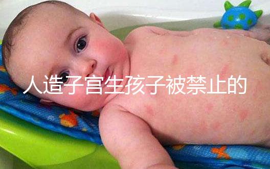 人造子宮生孩子被禁止的原因有三，會不會被允許未成定論