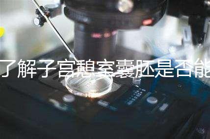 了解子宮憩室囊胚是否能成功移植，這里是否有出血