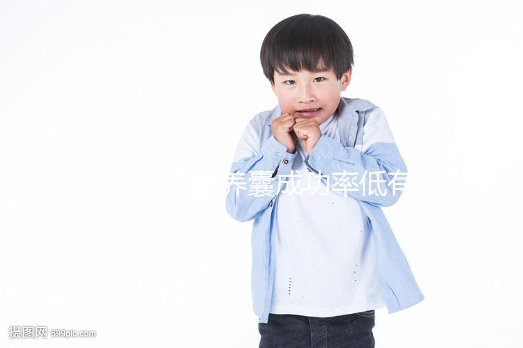 二代試管養(yǎng)囊成功率低有原因,禍?zhǔn)鬃锟蚴桥咛ベ|(zhì)量