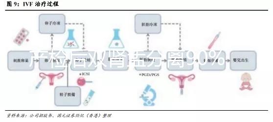 產檢后雙腎盂分離90%是男孩，或為孕期性別鑒定新高度