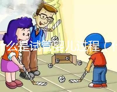 什么是試管嬰兒過程(什么是試管嬰兒過程視頻)