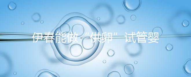 伊春能做“供卵”試管嬰兒嗎？你們想知道的答案在這里