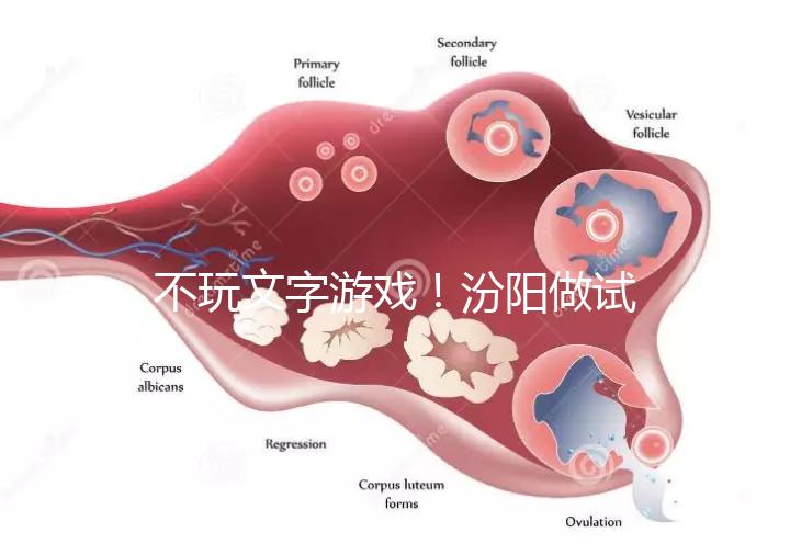 不玩文字游戲！汾陽做試管嬰兒成功率和費用一覽