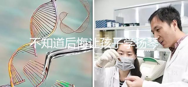 不知道后悔讓孩子學(xué)揚琴怎么辦看這，年齡是決定因素