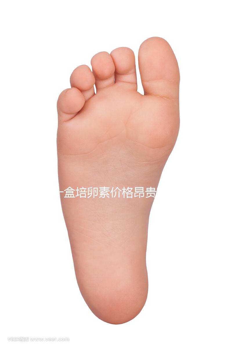 一盒培卵素價(jià)格昂貴有原因,避免假貨請(qǐng)選擇正規(guī)渠道