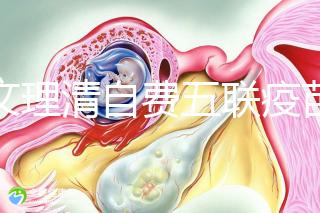 一文理清自費五聯疫苗接種必要性，新生兒打有這些好處