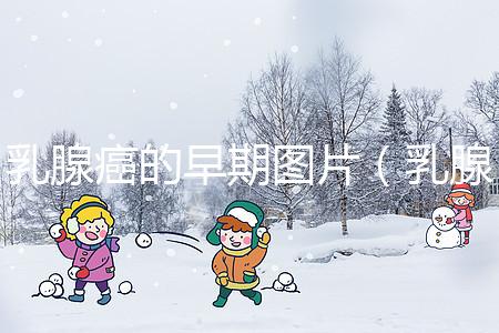 乳腺癌的早期圖片(乳腺癌初期小疙瘩圖片)