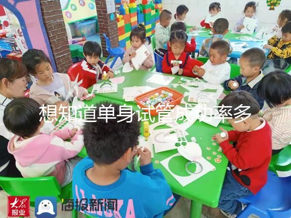 想知道單身試管成功率多少看這,過來人真實案例揭秘真相