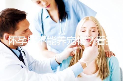 懷孕后不能養寵物？看完試管嬰兒醫生的解釋，請認真做決定