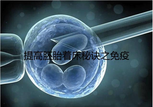 提高胚胎著床秘訣之免疫球蛋白,移植前后注射作用竟不同