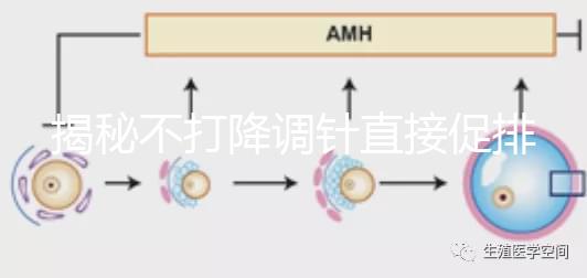 揭秘不打降調(diào)針直接促排的影響，是否妨礙懷孕一目了然