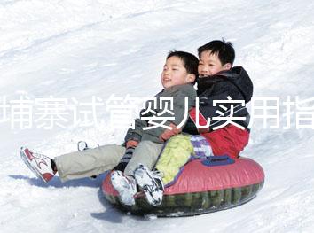 柬埔寨試管嬰兒實用指南：心中有“數”，造娃不慌