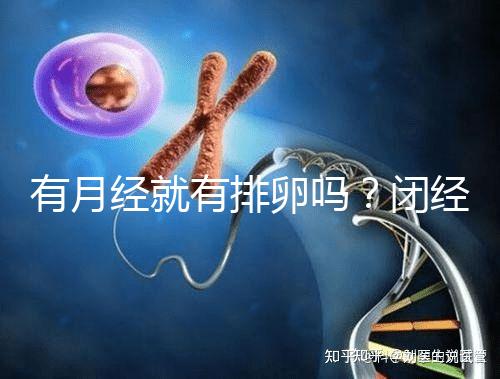 有月經就有排卵嗎？閉經、絕經還能做試管嬰兒嗎？