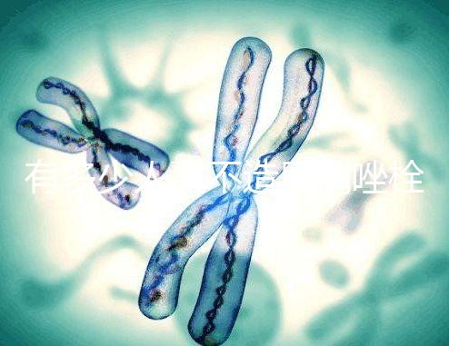 有多少人戳不造甲硝唑栓，對神經損傷請慎用