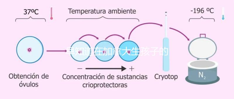 早知道在加拿大生孩子的國籍是什么!最后期限附回國定居